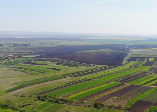 map nyzhbirok small eng