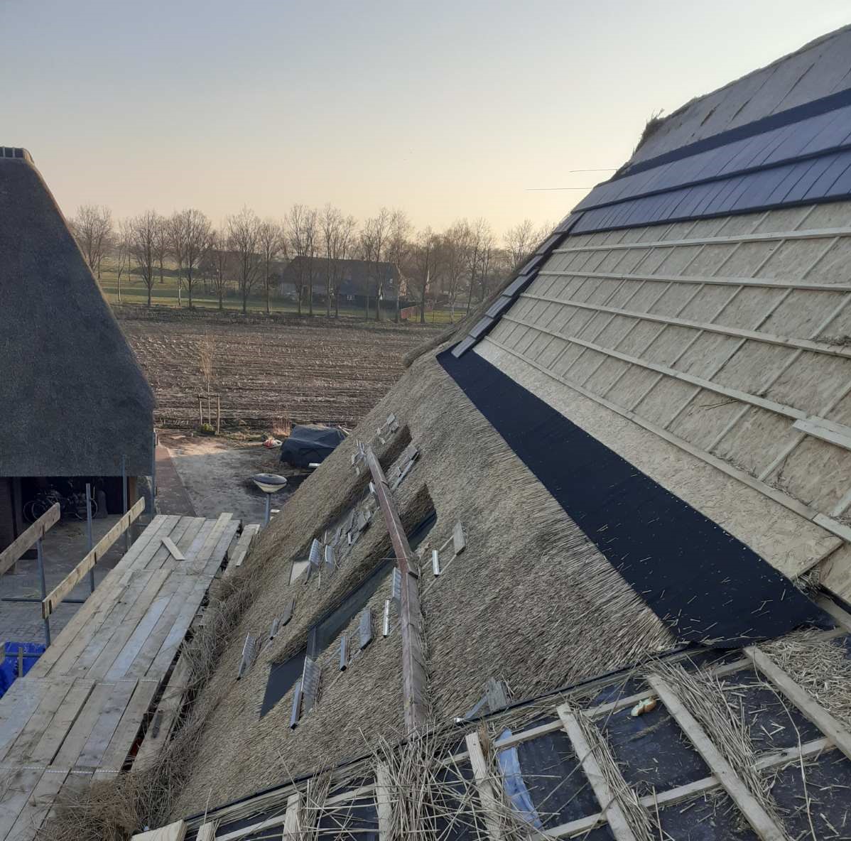 Reed roof. Reed roof.